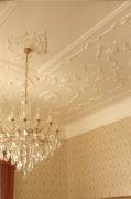 Ceiling roses, friezes and plaster panel cornices